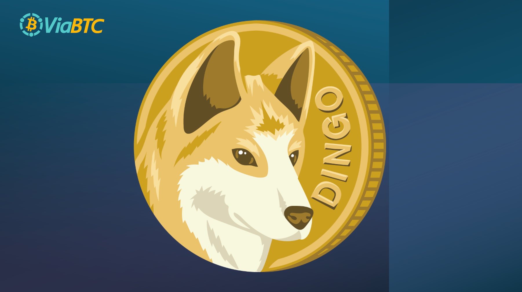 imagen dingo coin moneda mineria